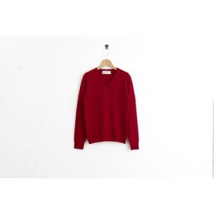 ふるさと納税 カシミヤ Vネック ニット度詰 カシミヤ(レッド )男性用サイズ:S(40)≪白田のカシミヤ≫ 宮城県加美町