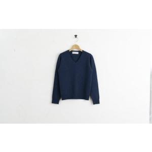 ふるさと納税 カシミヤ Vネック ニット度詰 カシミヤ(ブルー )男性用サイズ:S(40)≪白田のカシミヤ≫ 宮城県加美町