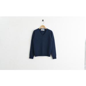 ふるさと納税 カシミヤ Vネック ニット度詰 カシミヤ(ブルー )男性用サイズ:M(42)≪白田のカシミヤ≫ 宮城県加美町