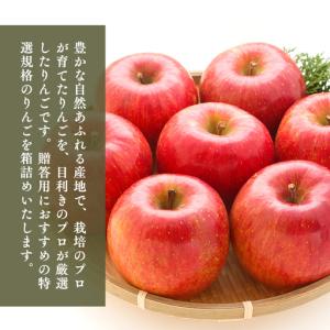 ふるさと納税 りんご 定期便 贈答用 5kg ...の詳細画像1