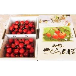 ふるさと納税 さくらんぼ（紅秀峰）１ｋｇ　0025-2304