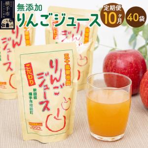ふるさと納税 【先行受付 12月上旬より発送】《定期便10ヶ月》 無添加りんごジュース（サンふじ）40パック 秋田県横手市