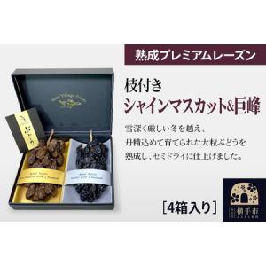 ふるさと納税 熟成プレミアムレーズン 枝付きプレミアムセット（シャインマスカット＆巨峰） 4箱セット 秋田県横手市