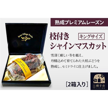 ふるさと納税 熟成プレミアムレーズン 枝付きシャインマスカット キングサイズ 2箱セット 秋田県横手...