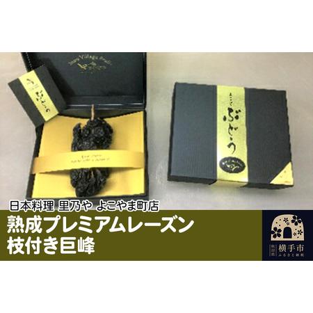ふるさと納税 熟成プレミアムレーズン 枝付き巨峰 秋田県横手市