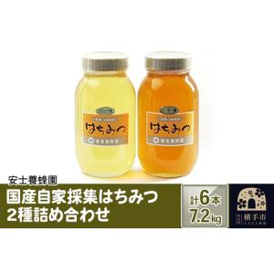 ふるさと納税 国産自家採集はちみつ2種詰め合わせ（アカシア、トチ） 計6本 7.2kg 秋田県横手市