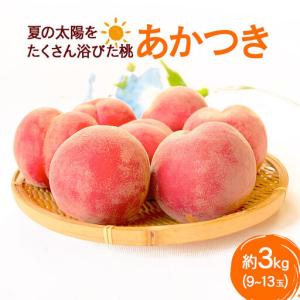 ふるさと納税 《先行受付！7月下旬より順次発送》夏の太陽をたくさん浴びた桃 あかつき 約3kg（9〜13玉前後） 秋田県横手市