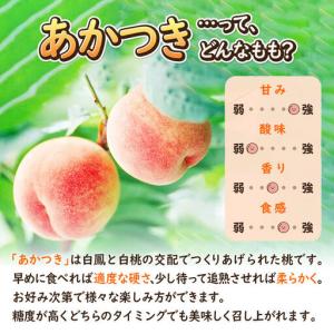 ふるさと納税 《先行受付!7月下旬より順次発送...の詳細画像4