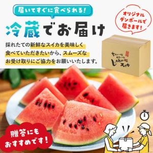 ふるさと納税 小玉すいか『あきた夏丸チッチェ』...の詳細画像3