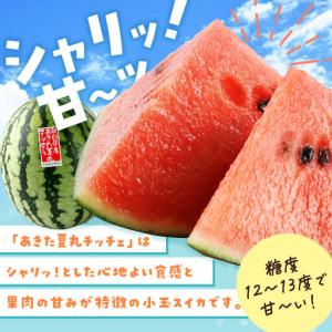 ふるさと納税 小玉すいか『あきた夏丸チッチェ』...の詳細画像4
