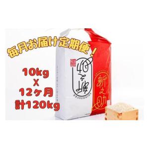 ふるさと納税 【通年受付】令和7年産魚沼産新之助...の商品画像