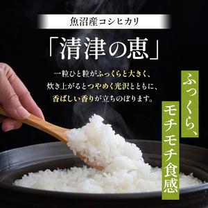 ふるさと納税 定期便 12ヶ月 コシヒカリ 清...の詳細画像1