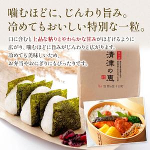 ふるさと納税 定期便 12ヶ月 コシヒカリ 清...の詳細画像2
