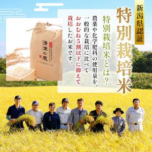 ふるさと納税 定期便 12ヶ月 コシヒカリ 清...の詳細画像3