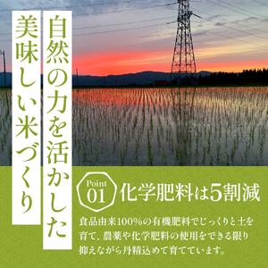 ふるさと納税 定期便 12ヶ月 コシヒカリ 清...の詳細画像4