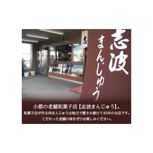 ふるさと納税 肉まん 志波まんじゅう 肉まんじ...の詳細画像3