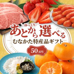 ふるさと納税 あとでゆっくり選べる！むなかた特産品50万円コース_HY0050 福岡県宗像市