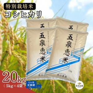 ふるさと納税 【定期便12回】コシヒカリ 20kg(5kg×4袋)×12回 特別栽培米 こしひかり | 新潟県 五泉市 コシヒカリ 新潟県五泉市