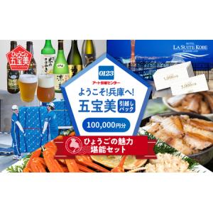 ふるさと納税 ようこそ兵庫へ！五宝美引越しパック！「ひょうごの魅力 堪能セット」100,000円分 兵庫県