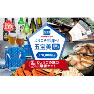 ふるさと納税 ようこそ兵庫へ！五宝美引越しパック！「ひょうごの魅力 堪能セット」170,000円分 兵庫県