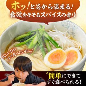 ふるさと納税 【全12回定期便】 スープカレー...の詳細画像1