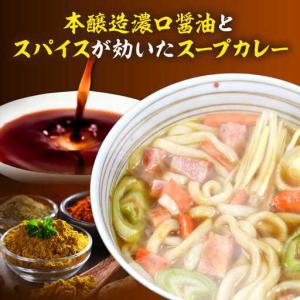 ふるさと納税 【全12回定期便】 スープカレー...の詳細画像2