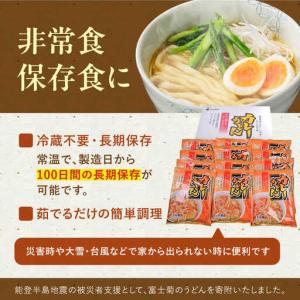 ふるさと納税 【全12回定期便】 スープカレー...の詳細画像3