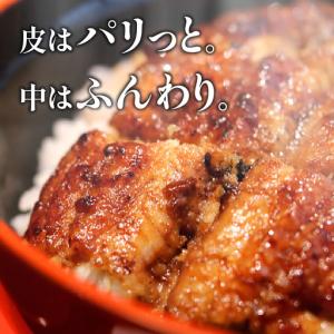ふるさと納税 うなぎ 蒲焼 うなぎ[国産 3尾...の詳細画像1