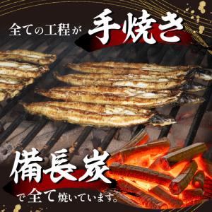 ふるさと納税 うなぎ 蒲焼 うなぎ[国産 3尾...の詳細画像2