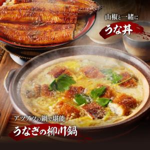ふるさと納税 うなぎ 蒲焼 うなぎ[国産 3尾...の詳細画像3