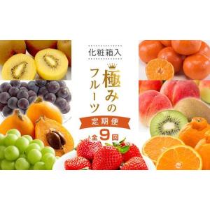 ふるさと納税 【全9回】極みのフルーツ定期便 (...の商品画像