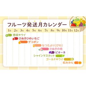 ふるさと納税 【全9回】極みのフルーツ定期便 ...の詳細画像1