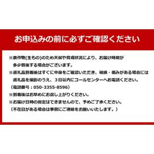 ふるさと納税 【全9回】極みのフルーツ定期便 ...の詳細画像2