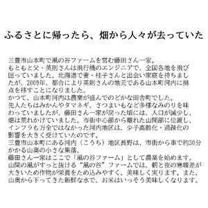 ふるさと納税 にじのきらめき10kg 香川県三豊市の詳細画像3