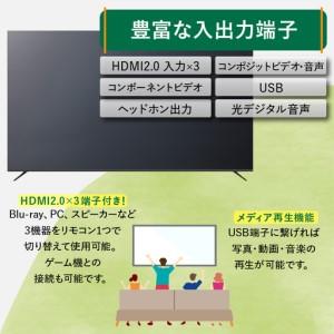 ふるさと納税 チューナーレステレビ 75V型 ...の詳細画像2