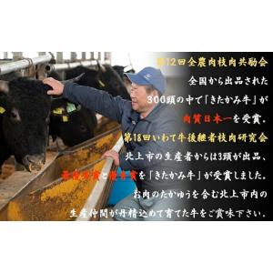 ふるさと納税 きたかみ牛 ロース ステーキ 2...の詳細画像2