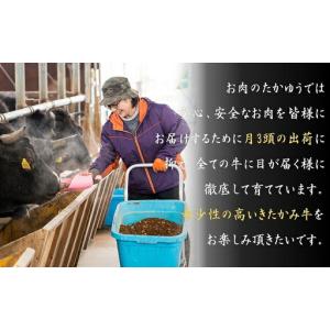 ふるさと納税 きたかみ牛 ロース ステーキ 2...の詳細画像3