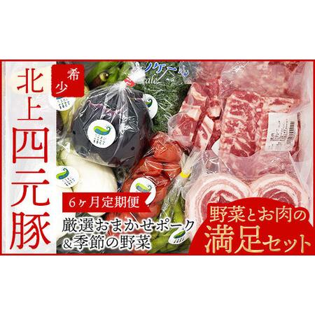 ふるさと納税 6ヶ月 定期便 四元豚 厳選カット肉 と 季節のうるおい野菜セット GIFTON ギフ...