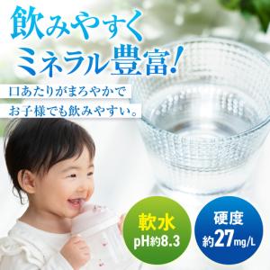 ふるさと納税 【全5回定期便】日田天領水 10...の詳細画像1