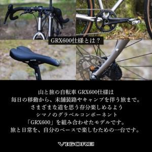 ふるさと納税 【VIGORE】山と旅の自転車プ...の詳細画像2