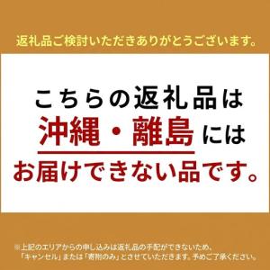 ふるさと納税 ハンドバッグ SOEL トライア...の詳細画像1