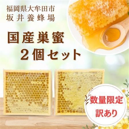 ふるさと納税 訳あり　国産巣蜜(コムハニー) 2個セット_調味料 はちみつ  ハチミツ 蜂蜜_【11...