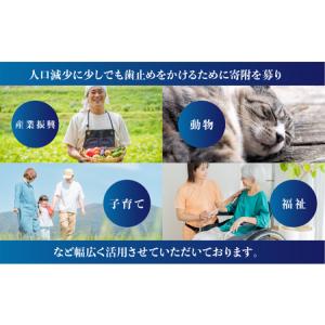 ふるさと納税 返礼品無しの寄附 1000円 返...の詳細画像2