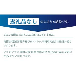 ふるさと納税 返礼品無しの寄附 1000円 返...の詳細画像3
