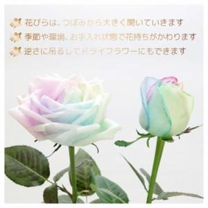 ふるさと納税 生花 レインボーローズ 花束 ピ...の詳細画像1