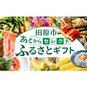 ふるさと納税 ＼約500品から選べる／あとから選べる！オンラインカタログ あとからセレクト カタログ 愛知県田原市