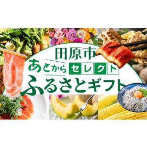 ふるさと納税 ＼約500品から選べる／あとから選べる！オンラインカタログ あとからセレクト カタログ 愛知県田原市