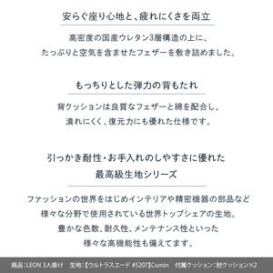 ふるさと納税 blocco LEON(レオン)...の詳細画像2