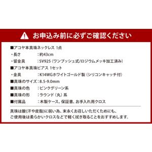 ふるさと納税 【7営業日以内発送】《アコヤ真珠...の詳細画像4