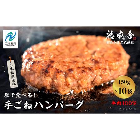 ふるさと納税 熟成牛 塩で食べる！手ごねハンバーグ 1.5kg（150g×10袋） ハンバーグ 国産...
